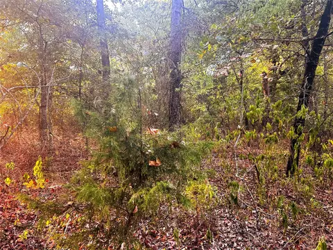 tbd Cr 35100, Sumner, TX 75486 photo 12