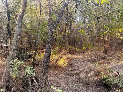 tbd Cr 35100, Sumner, TX 75486 photo 6