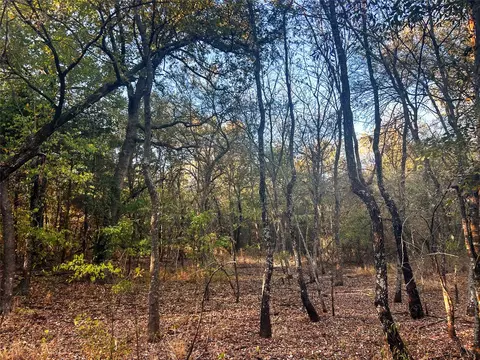 tbd Cr 35100, Sumner, TX 75486 photo 5