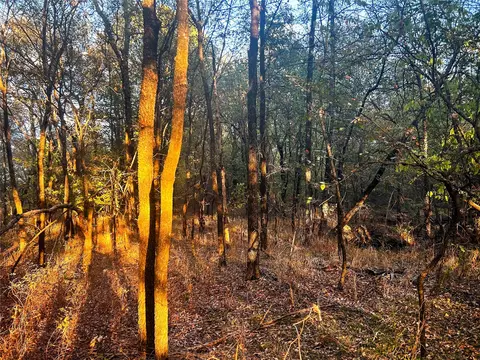 tbd Cr 35100, Sumner, TX 75486 photo 8