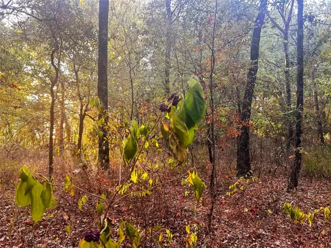 tbd Cr 35100, Sumner, TX 75486 photo 9