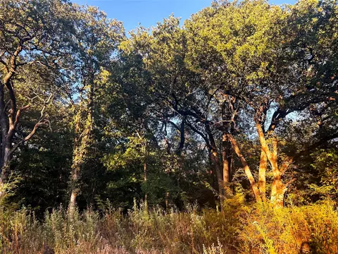 tbd Cr 35100, Sumner, TX 75486 photo 19