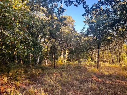 tbd Cr 35100, Sumner, TX 75486 photo 16