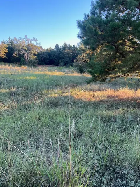19661 Dove Ridge Ln, Lindale, TX 75771