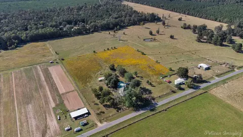 1340 Pilgrim Rest Rd, Doyline, LA 71023 photo 34