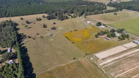 1340 Pilgrim Rest Rd, Doyline, LA 71023 photo 37