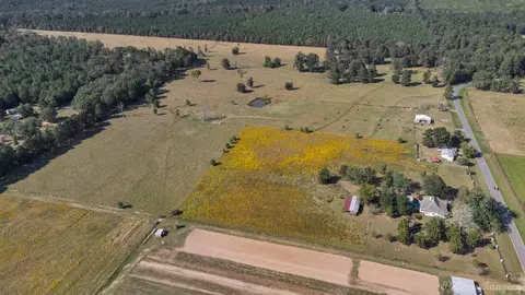 1340 Pilgrim Rest Rd, Doyline, LA 71023 photo 36