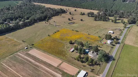 1340 Pilgrim Rest Rd, Doyline, LA 71023 photo 35