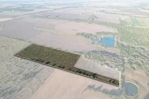 tbd Cottonwood, Palmer, TX 75152