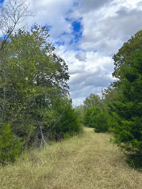 421 Fcr, Buffalo, TX 75831 photo 12