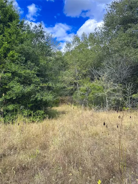 421 Fcr, Buffalo, TX 75831 photo 25