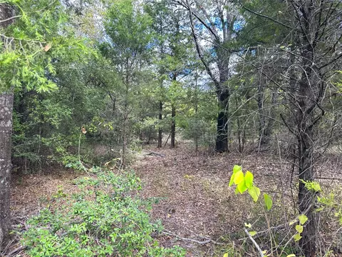 421 Fcr, Buffalo, TX 75831 photo 3