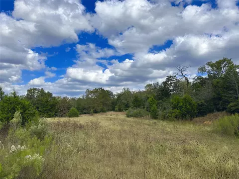 421 Fcr, Buffalo, TX 75831 photo 39