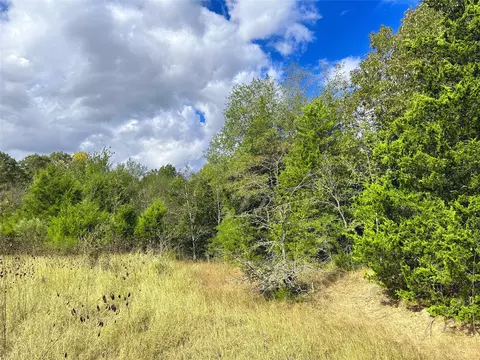 421 Fcr, Buffalo, TX 75831 photo 34