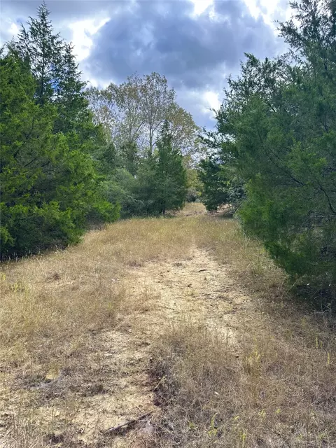 421 Fcr, Buffalo, TX 75831 photo 23