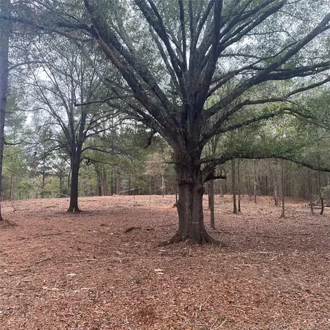 lot6 W 7 W Lakeshore Dr, Shreveport, LA 71107