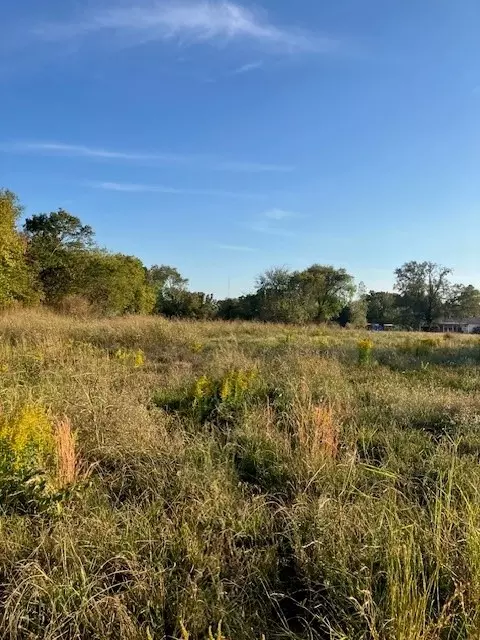 9837 Farm Road 114, Clarksville, TX 75426 photo 6