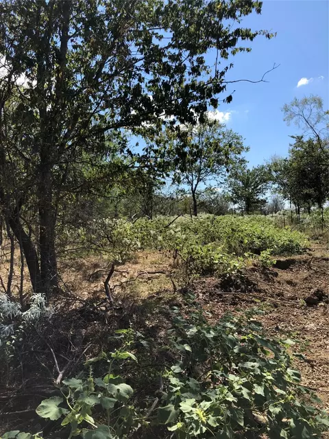 tbd SW 15 Acres Sw Cr 2190, Richland, TX 76681