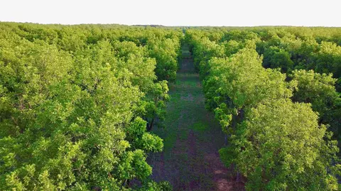 tbd 2 Fm-2318, De Leon, TX 76444