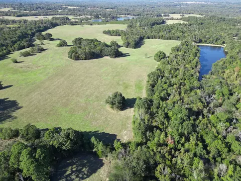 145 Acres Fm 49, Mineola, TX 75773
