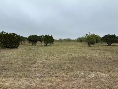 470 Frog Branch Ct, Graford, TX 76449