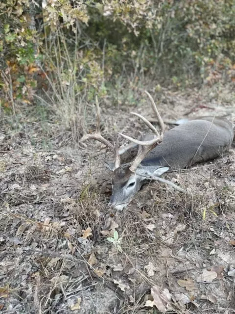 tbd Cr 321, Comanche, TX 76442 photo 5