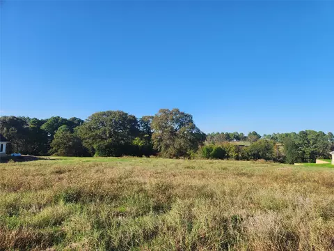 lot155 Lago Vista Dr, Athens, TX 75752
