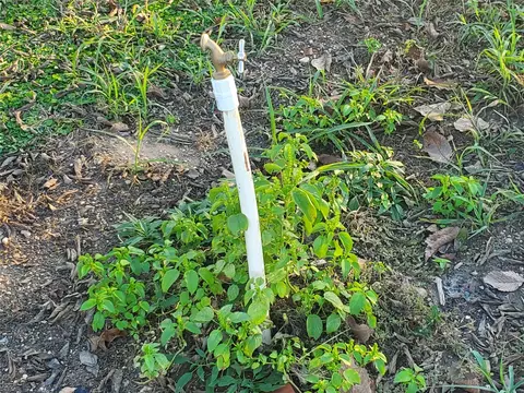 112 SE Front, Bailey, TX 75413 photo 10