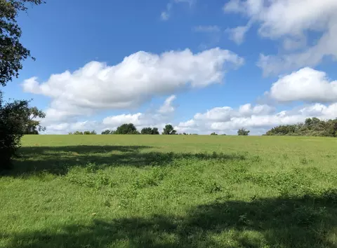 tbd 19871 Acres County Road 344 W, Marquez, TX 77865