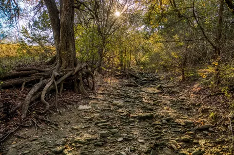 tbd Shady Oaks, Palo Pinto, TX 76484