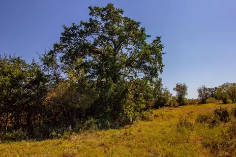 tbd Tract 1 E Hackley Rd, Perrin, TX 76486 photo 8