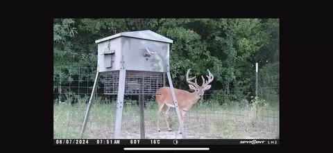 tbd Double Oak Rd, Saint Jo, TX 76265