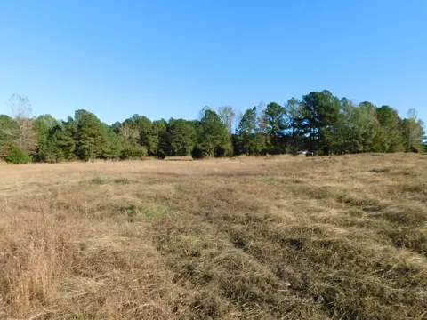 8305 Dorcheat Rd, Minden, LA 71055 photo 3