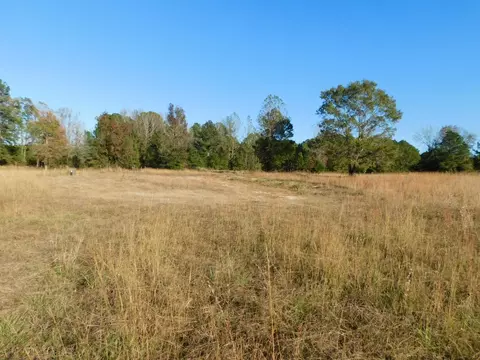 8305 Dorcheat Rd, Minden, LA 71055 photo 2