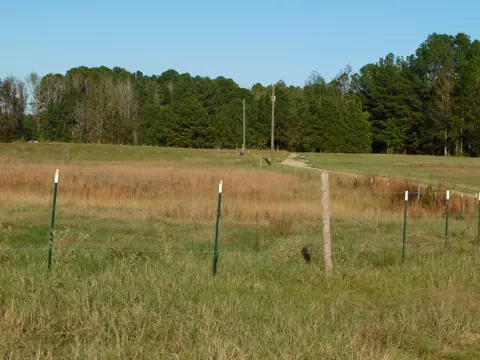 8305 Dorcheat Rd, Minden, LA 71055 photo 11