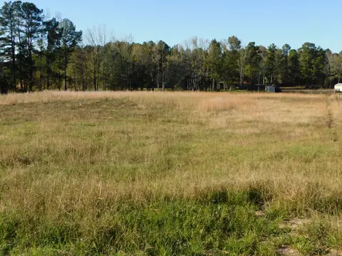 8305 Dorcheat Rd, Minden, LA 71055 photo 14
