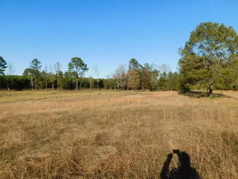 8305 Dorcheat Rd, Minden, LA 71055 photo 4