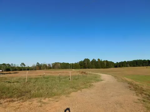 8305 Dorcheat Rd, Minden, LA 71055 photo 7