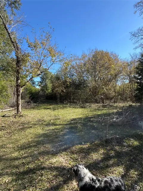 10887 Fm 1861, Eustace, TX 75124 photo 37