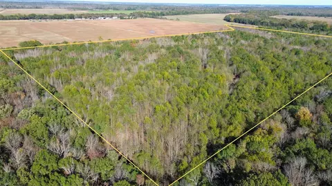 000 Mcentire Rd, Pine Bluff, AR 71601 photo 3