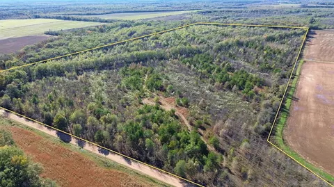 000 Mcentire Rd, Pine Bluff, AR 71601 photo 6