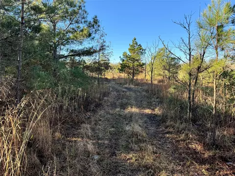 000 Mcentire Rd, Pine Bluff, AR 71601 photo 8
