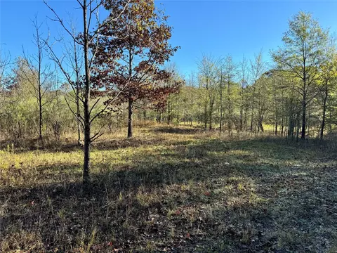 000 Mcentire Rd, Pine Bluff, AR 71601 photo 11