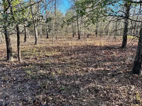 000 Mcentire Rd, Pine Bluff, AR 71601 photo 16