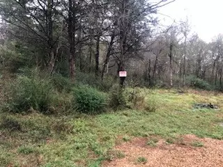 tbd Cedar Acres Loop, Mabank, TX 75147 photo 3