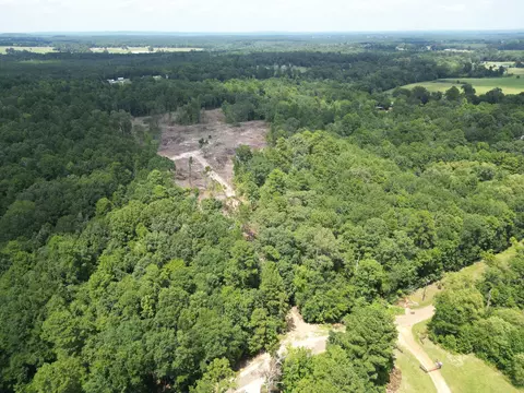 tbd Flamingo Rd, Gilmer, TX 75645