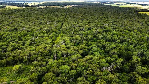 tbd An County Road 493, Athens, TX 75751