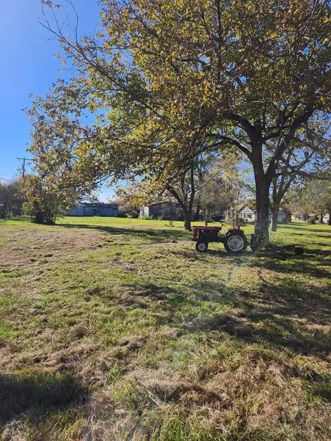 6419 Locust St, Murchison, TX 75778