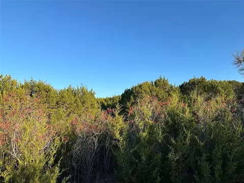 lot659 R Canyon Wren Loop, Graford, TX 76449