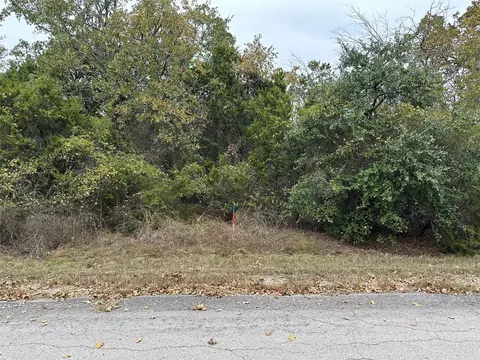 18017 Southhill Dr, Whitney, TX 76692